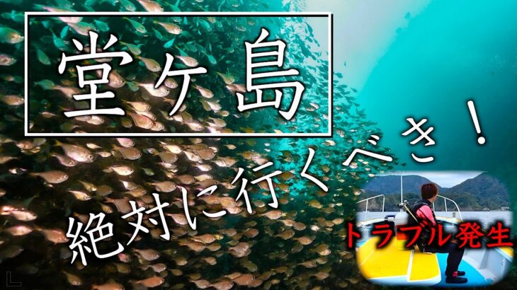 【伊豆制覇企画】トラブルだらけの堂ヶ島編ダイビング！#独立　#起業 #水中映像