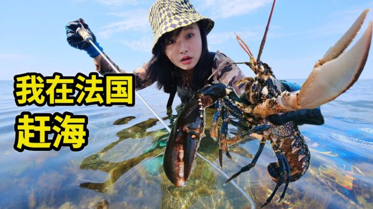 在法国赶海，冬季海鲜个大肥美，龙虾海鳗烧菜宴请友人！| 法国 | 龙虾 | 鳗鱼 | 户外 | 农村 | 美食 |