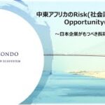 アフリカ・中東ビジネス開発に見る、日本企業が持つべき長期的視点