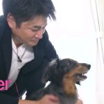 愛犬の健康目指す起業家に密着