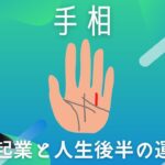 【面白すぎる手相】起業と人生後半の運気｜第二の人生｜自分には経営センスある？｜起業線、商才線、財運線…