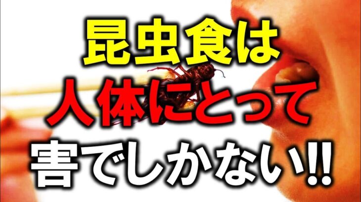 昆虫食を今すぐやめろ！！昆虫食は人体にとって害でしかない！！