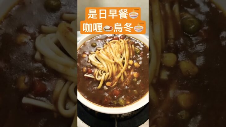 是日早餐🍜　　咖喱🍛烏冬🍜　　寒冷嘅天氣下食返一碗熱辣辣又好味😋嘅湯烏冬😋，享受😎