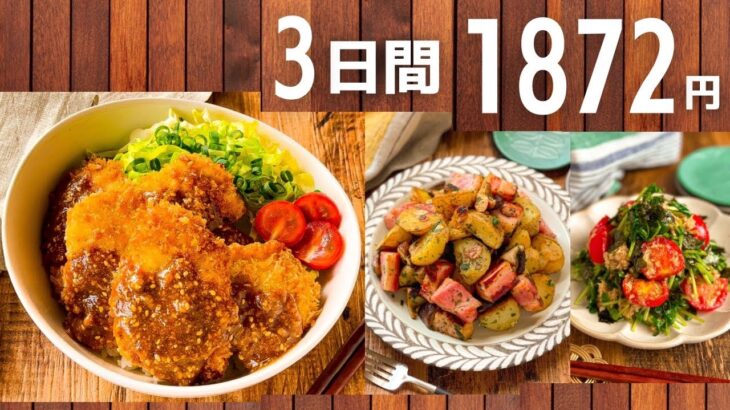 【1食100円台】節約したい人必見☆作り置きおかずレシピ