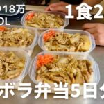 【1食200円】【生姜焼き弁当】5日分作り置きして冷凍する26歳OL