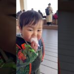 【わたあめの食感を知った1歳児】#shorts #1歳4ヶ月 #赤ちゃん #赤ちゃんかわいい #わたあめ #おやつ