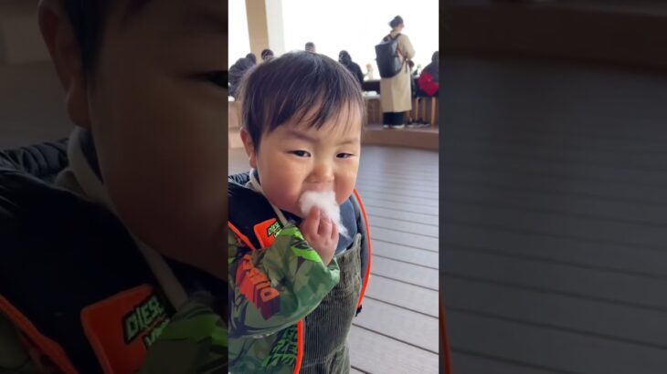 【わたあめの食感を知った1歳児】#shorts #1歳4ヶ月 #赤ちゃん #赤ちゃんかわいい #わたあめ #おやつ