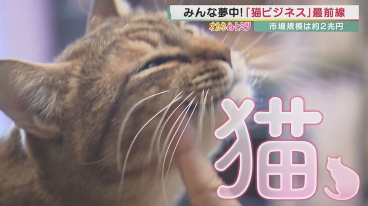 【オカネのヒミツ】市場規模約2兆円の猫ビジネス「ネコノミクス」が拡大中！　猫の手触りを追求した商品や”印鑑に隠れる猫”も…【報道ランナー】