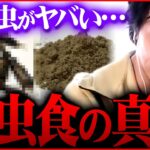 ※これを知っても虫食べれますか？※コオロギ給食 昆虫食のデメリットを考えれば炎上も当然です【 切り抜き 2ちゃんねる 思考 論破 kirinuki きりぬき hiroyuki】