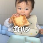 【20分で完食】食パン丸々１枚食べる赤ちゃん 【1歳3ヶ月】