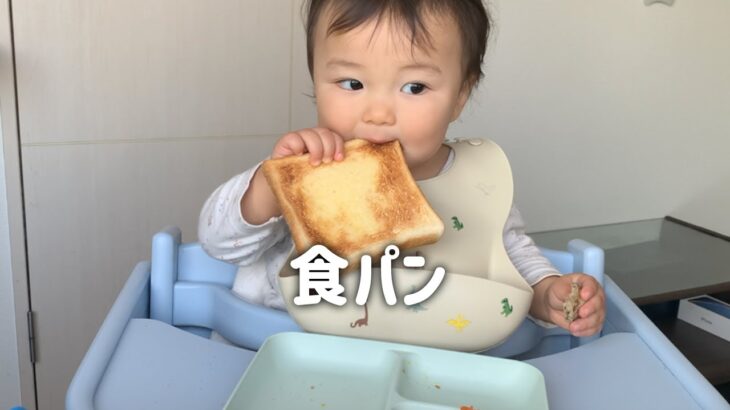 【20分で完食】食パン丸々１枚食べる赤ちゃん 【1歳3ヶ月】