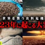 2023年、日本で起こる災難がヤバいかもしれません…【 都市伝説 食料危機 昆虫食 コオロギ食 】