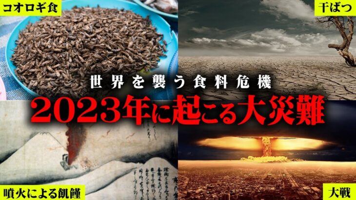 2023年、日本で起こる災難がヤバいかもしれません…【 都市伝説 食料危機 昆虫食 コオロギ食 】