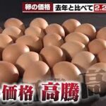 【卵ショック】名古屋の食文化「喫茶店」も打撃　「卵の値段は今までみたことがない高値」店も困惑 (2023年3月20日)