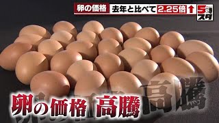 【卵ショック】名古屋の食文化「喫茶店」も打撃　「卵の値段は今までみたことがない高値」店も困惑 (2023年3月20日)