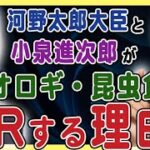 2/28【河野太郎はなぜコオロギ食をPRしているのか？】ダボス会議と小泉進次郎と愉快な仲間たち