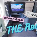 ANA 新ビジネスクラス【THE Room】シートの中身を解説！CAおすすめの過ごし方