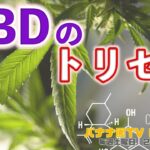 【CBDのウソとホント】それはビジネスか？医療か？科学的視点でのCBDについて