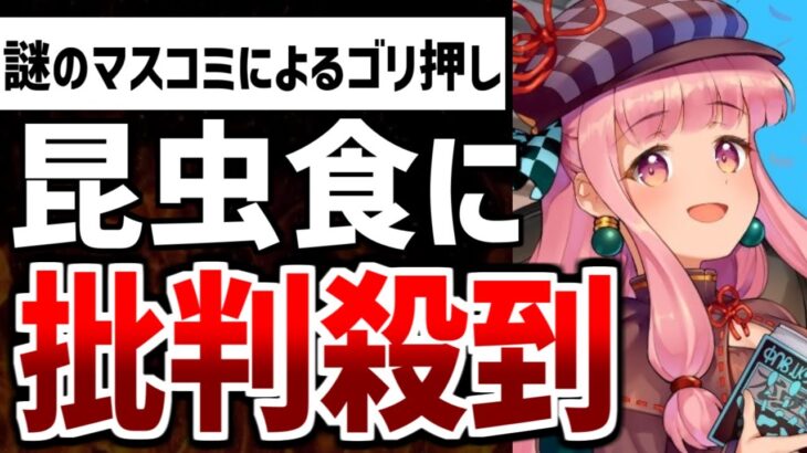 【ゆっくり解説】暇空氏が謎の昆虫食ゴリ押しに警告！？ネット民からも疑問の声が多数出現している模様…【暇空茜/Colabo/仁藤夢乃】