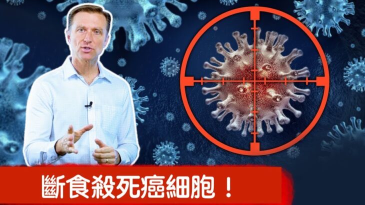 斷食殺死癌細胞,自然療法,柏格醫生 Dr Berg