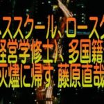 【ゆっくり解説】ビジネススクール、ロースクール、MBA(経営学修士)、多国籍企業が灰燼に帰す 藤原直哉