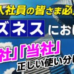 新入社員の皆さま必見！ビジネスにおける「弊社」「当社」正しい使い分けは？ No.230 #レプタリアン