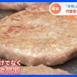 “本物の味”に近づいた？ 進化続ける「代替食」 注目は…“代替魚” 食糧不足の懸念の中で市場拡大｜TBS NEWS DIG