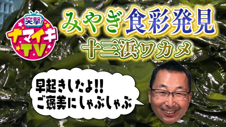 突撃！ナマイキTV「みやぎ食彩発見   石巻・十三浜―ワカメ―」