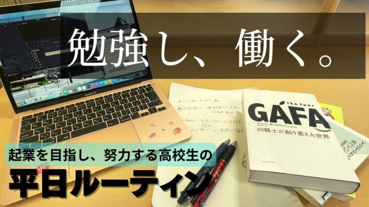 勉強し、働く。起業を目指し努力する不登校高校生の平日ルーティンVLOG【VLOG】【プログラミング勉強】