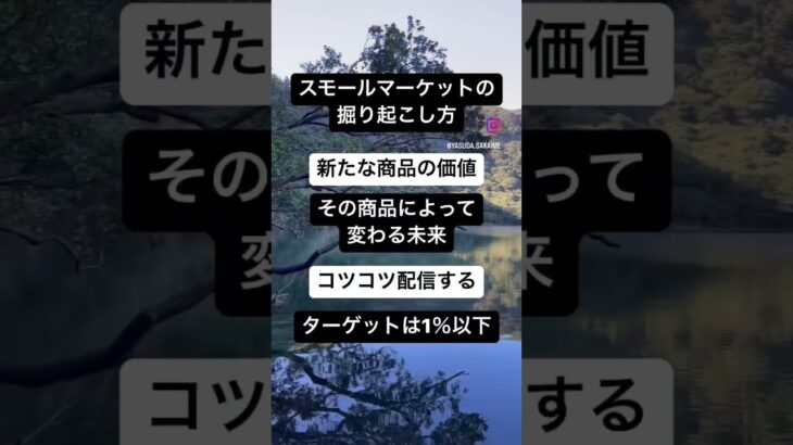 スモール・ビジネスでは勝つためのルールが違う。詳しくはYouTube『降り積もる集客』で説明しています❗️#ビジネス#集客#スモールビジネス#コツコツ