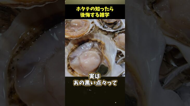 【マジか..】ホタテの知ったら後悔する食の雑学