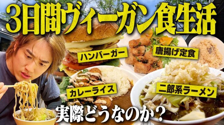 ヴィーガン二郎に唐揚げ！毎日ヴィーガン食だけ食べ続けた結果…【飯テロ/完全菜食主義】