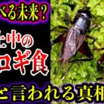 【ゆっくり解説】【炎上】コオロギ食は絶対に食べる未来が来る…？コオロギ食騒動はなぜ起きた？なぜ今コオロギなのか？