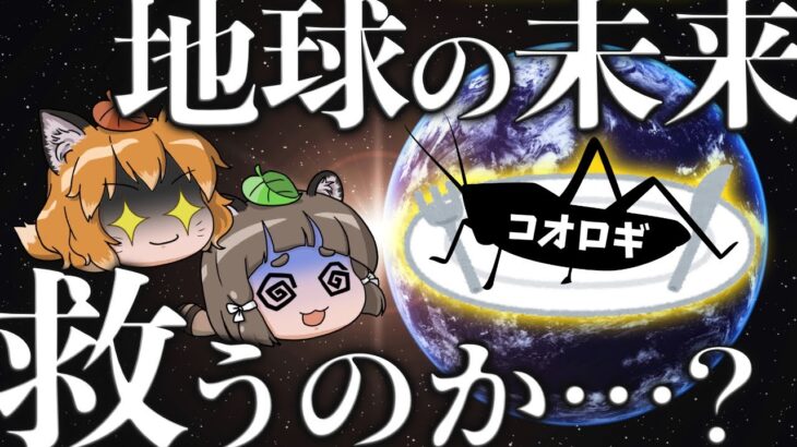 【昆虫食】コオロギは地球の未来を救うのか？｜養殖に潜む問題と本当に優れた昆虫とは…