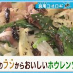 広がるコオロギ食…パスタにふりかけ？コロッケにも？ フンも活用して野菜の肥料にも？【＃コオロギ食品】