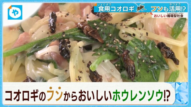 広がるコオロギ食…パスタにふりかけ？コロッケにも？ フンも活用して野菜の肥料にも？【＃コオロギ食品】