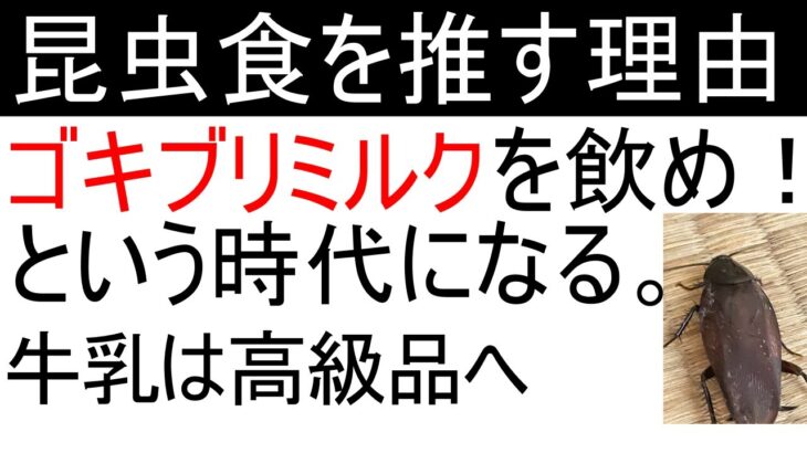 なぜ今、昆虫食なのか。既にゴキブリミルクまである