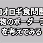 コオロギ食問題 昆虫食のボーダーラインを考えてみる【中年なう】