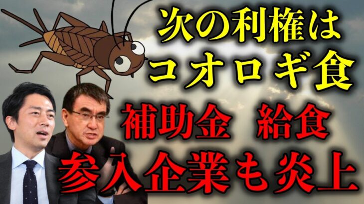 【次の利権はコオロギ食か】太陽光と同類？謎の補助金や給食…敷島製パンら参入企業も炎上！【政治ネタ】