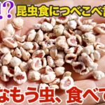 昆虫食賛成派も反対派も……実はみんなもう虫食べてるよ