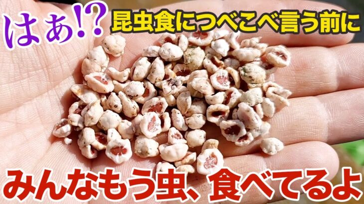 昆虫食賛成派も反対派も……実はみんなもう虫食べてるよ