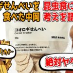 話題のコオロギ食品を食べた中岡と昆虫食への考えを語る坂本【幕末志士/切り抜き】