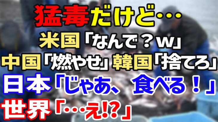 【海外の反応】「この国は何だ！？」日本人の食に対するこだわりに世界が大混乱！ネット民「どうだ、これが日本人だ！！」