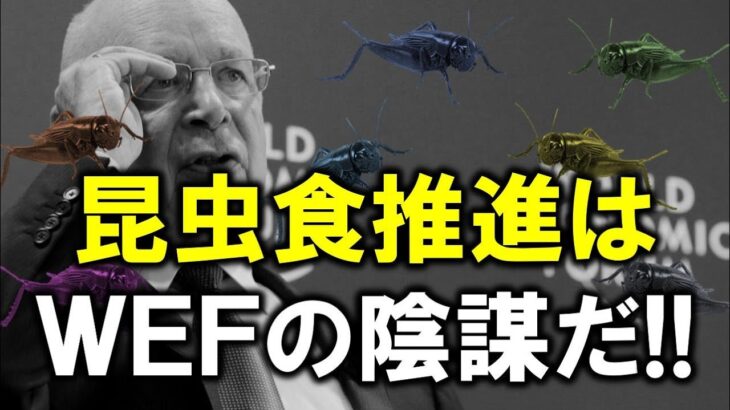 昆虫食推進は世界経済フォーラムのグローバルアジェンダだ！！