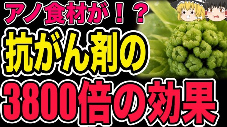 【ゆっくり解説】米国も認めた！ガン細胞を圧倒的に消滅させる食べ物！新しい治療法も紹介！