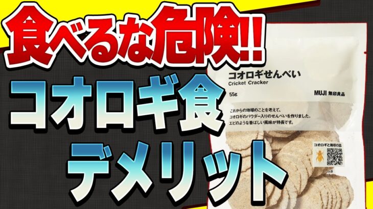 【必見】コオロギ食は食糧危機を救うのか?昆虫食が注目される理由と危険性【視聴者さんの意見をお聞かせください】