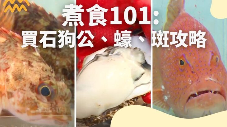 【煮食101】石狗公是什麼，又有什麼煮法？再教你點揀本地生蠔！另外老鼠斑、老虎仔，點知道海魚揀選秘訣呢？ | #入廚秘訣 #街市秘訣 #夠鐘開飯