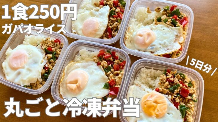 【1食250円】5日分作り置きして冷凍して平日にラクをする | 丸ごと冷凍弁当