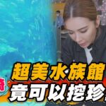 【日本長崎】超美水族館 竟可以挖珍珠？【食尚玩家魚肉鄉民】20230425 (3/4)