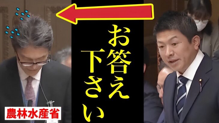 【参政党】神谷宗幣がまたやってくれた！昆虫食の危険性と推進理由を農林水産省に問い詰めた結果…/ 酪農問題とカジノのマネーロンダリング問題にも斬り込む！/ 財政金融委員会 国会答弁 2023/3/30